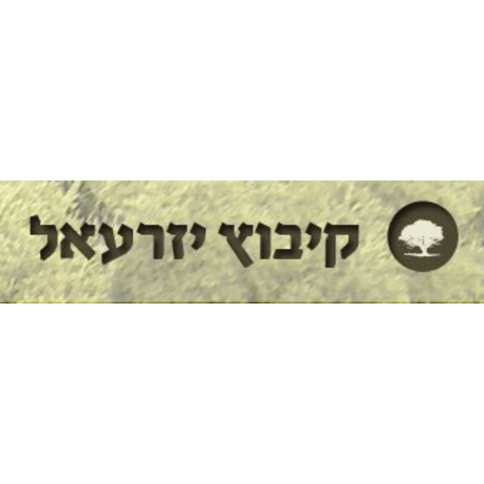 Logo Izrael